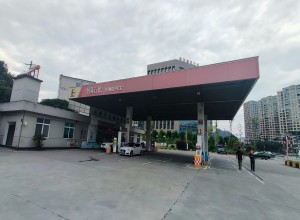 1723510482733.jpg