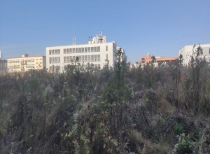 1730443141558.jpg 图片2.jpg