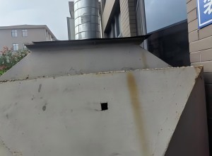 1731376209438.jpg