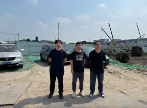 1733445392610.jpg 图片1.jpg