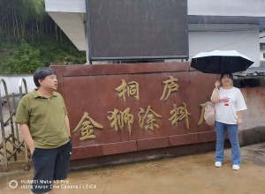 1733452669502.jpg 桐庐金狮(1).jpg