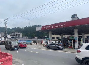 1735175289841.jpg