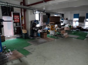 1740559043161.jpg