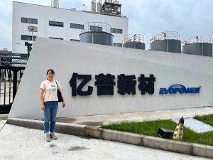 1741309912487.jpg