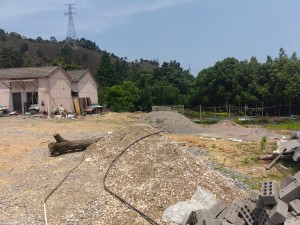 1741654193031.jpg 图片2.jpg