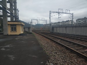 1746514672085.jpg