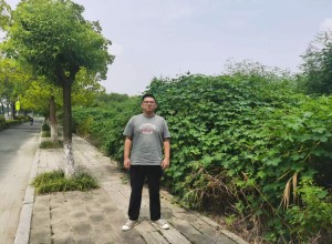 图片1.jpg