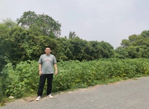 图片1.jpg