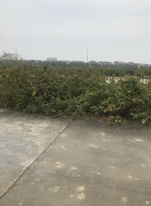 图片3.jpg
